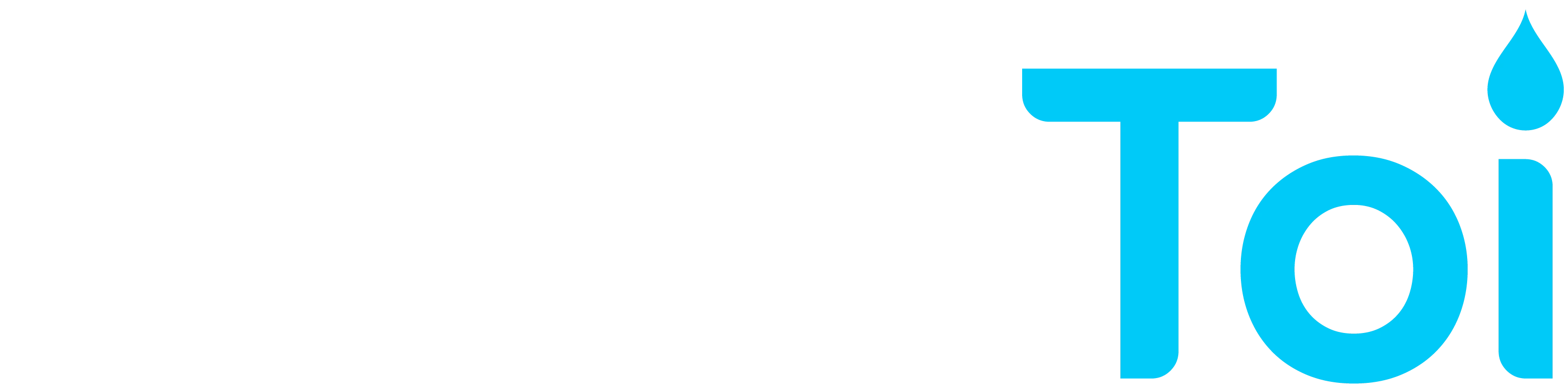 Logo white